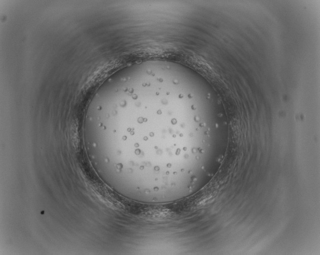 X0000074260642200609151802