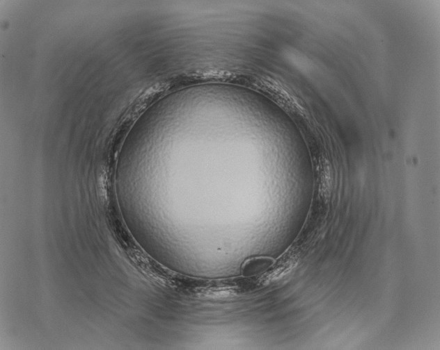 X0000074260643200609151802