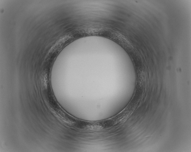 X0000074260644200609151802