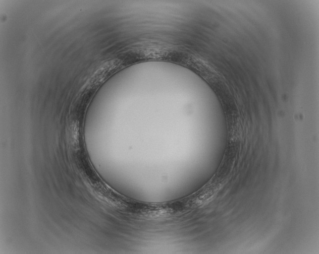 X0000074260646200609151802