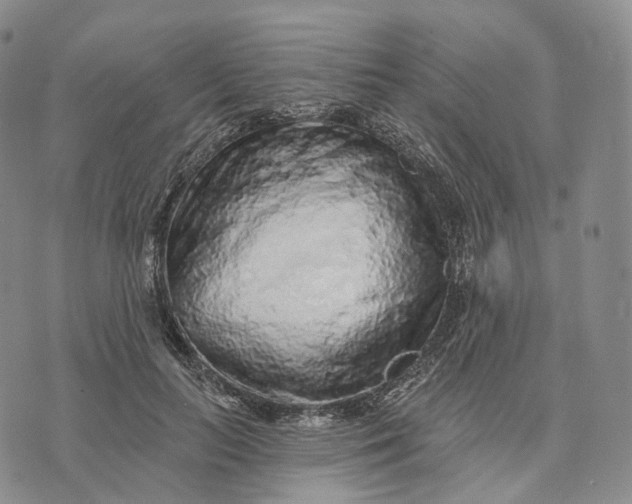 X0000074260647200609151802