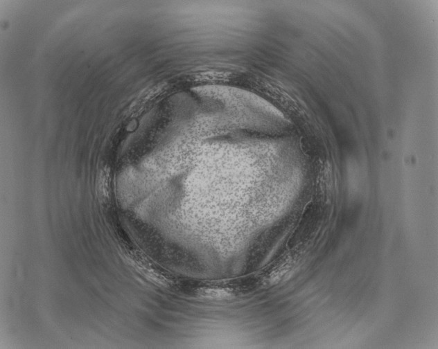 X0000074260649200609151802