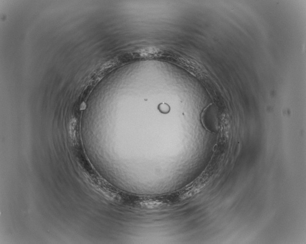 X0000074260650200609151802