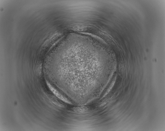 X0000074260652200609151802