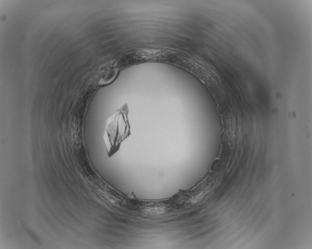 X0000074260653200609151802