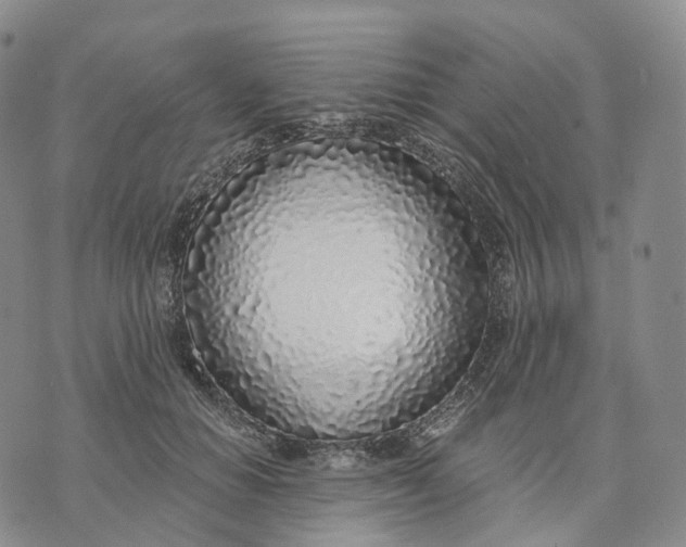 X0000074260654200609151802