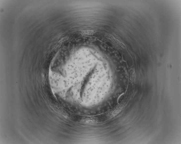 X0000074260655200609151802