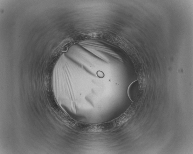 X0000074260656200609151802