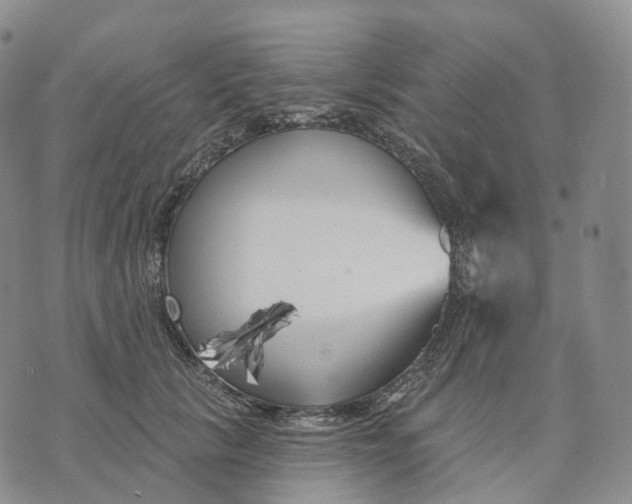 X0000074260657200609151802