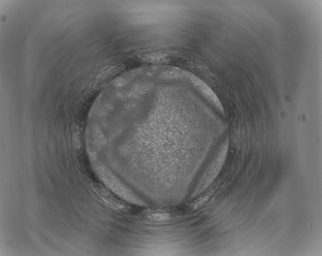 X0000074260658200609151802