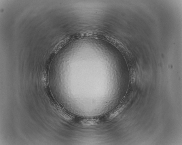 X0000074260661200609151802