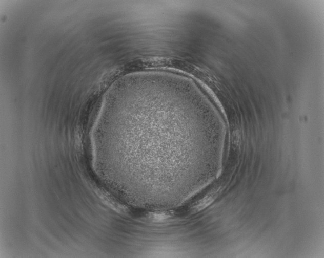 X0000074260662200609151802