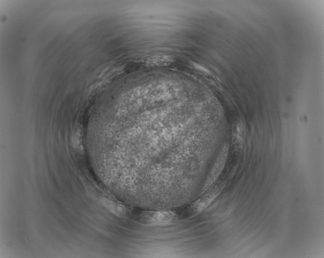 X0000074260663200609151802