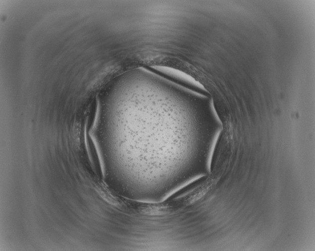 X0000074260664200609151802