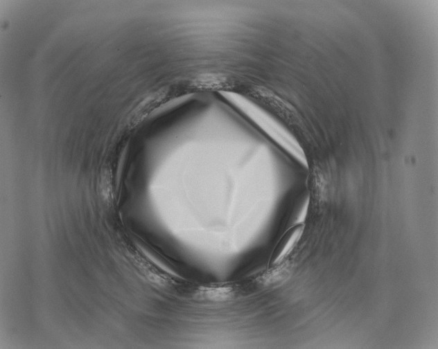 X0000074260665200609151803