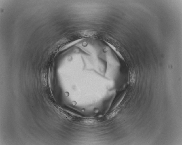 X0000074260666200609151803