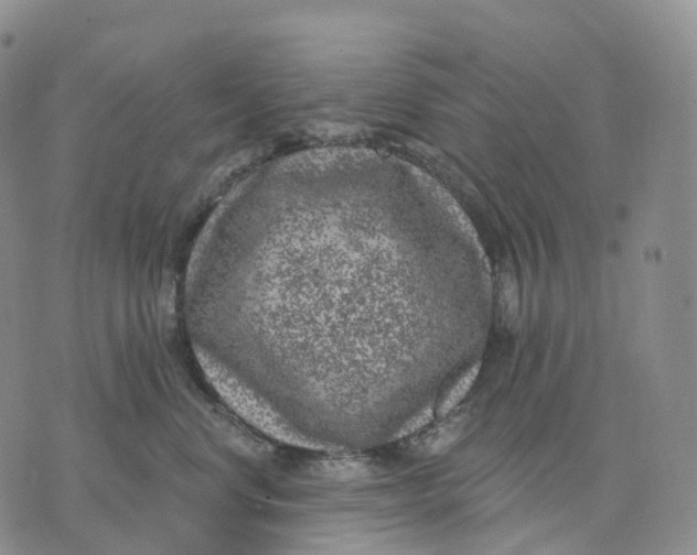 X0000074260668200609151803