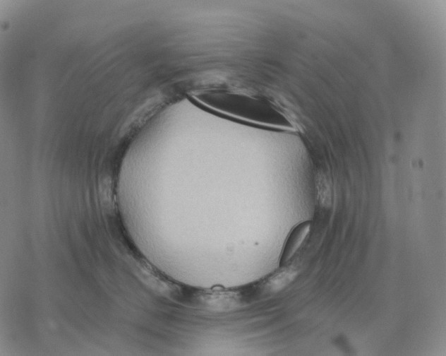 X0000074260670200609151803