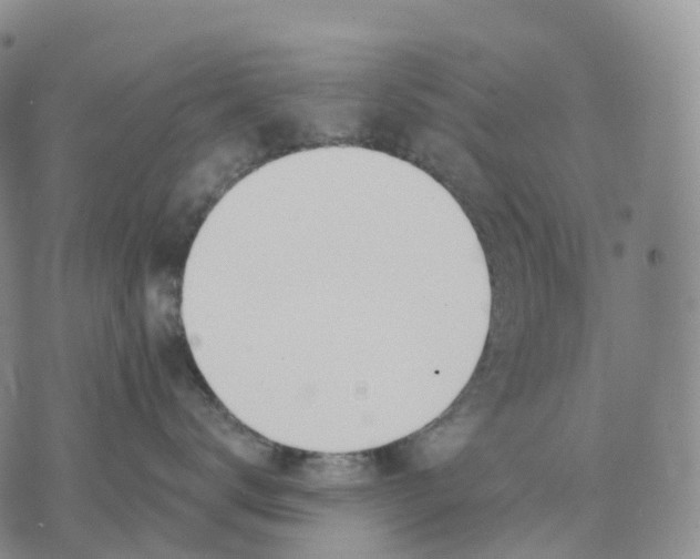 X0000074260672200609151803