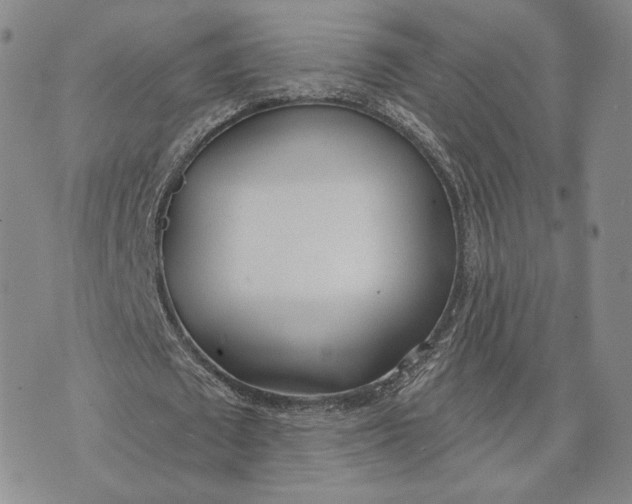 X0000074260673200609151802