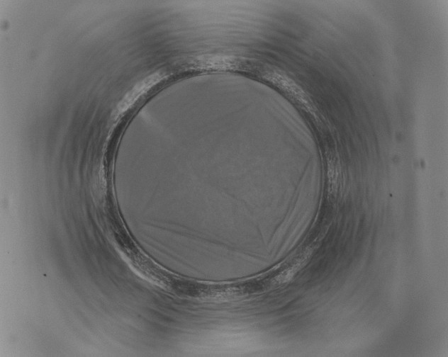 X0000074260674200609151802