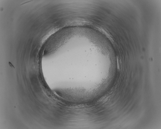 X0000074260675200609151802