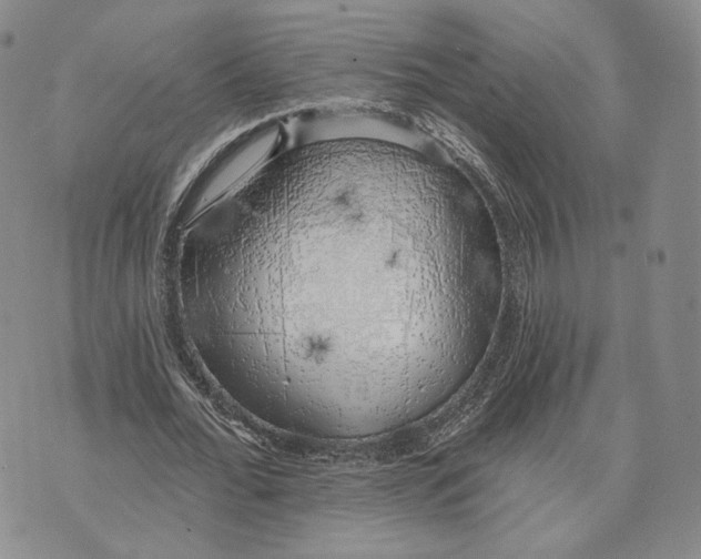 X0000074260676200609151802