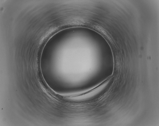 X0000074260677200609151802