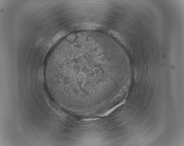 X0000074260679200609151802