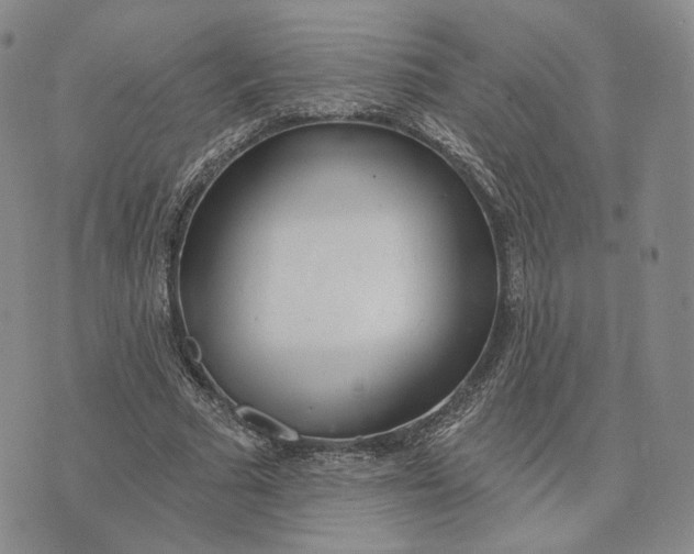 X0000074260681200609151802