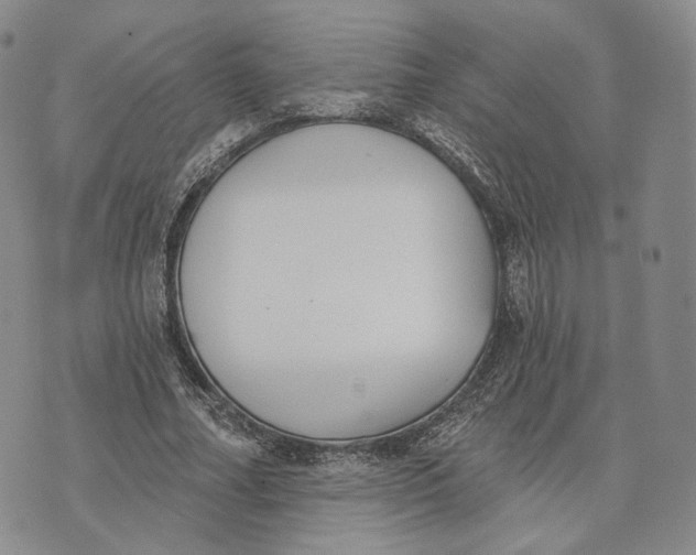 X0000074260682200609151802