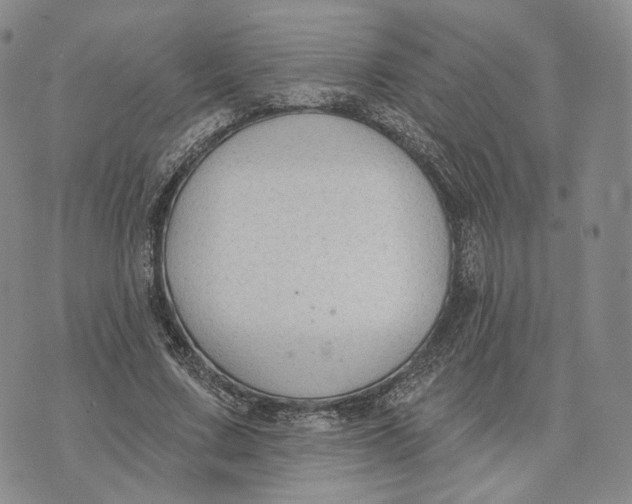 X0000074260683200609151802