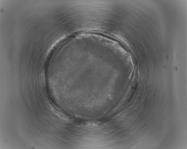 X0000074260684200609151802