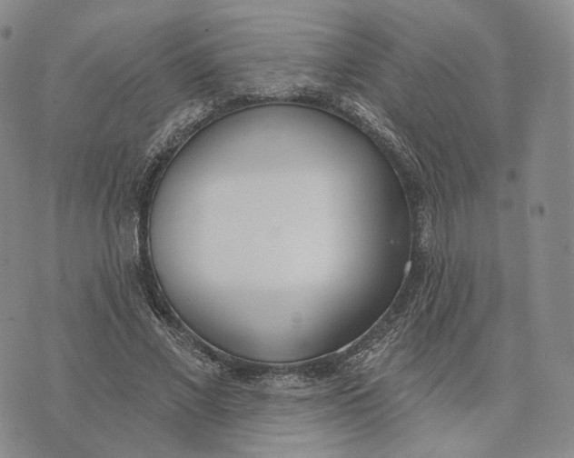 X0000074260685200609151802