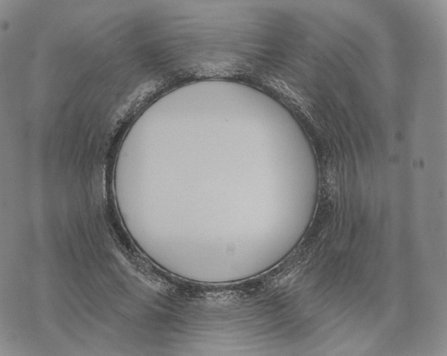 X0000074260686200609151802