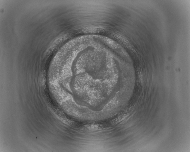 X0000074260687200609151802