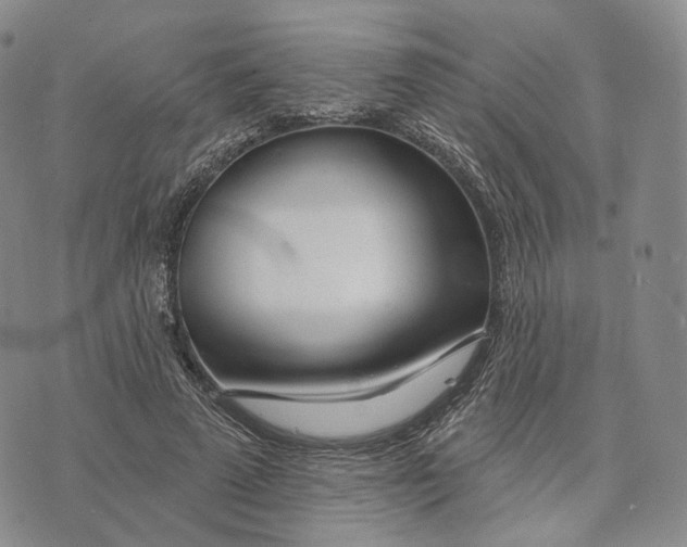 X0000074260689200609151802