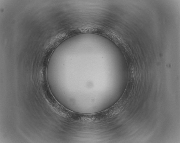 X0000074260690200609151802