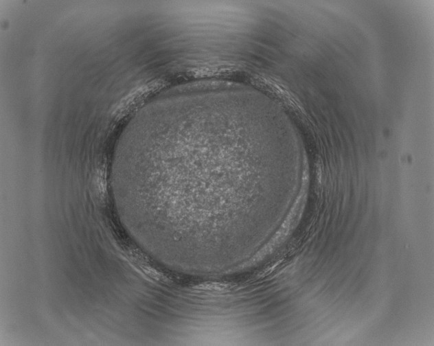 X0000074260691200609151802