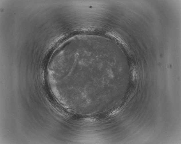 X0000074260692200609151802