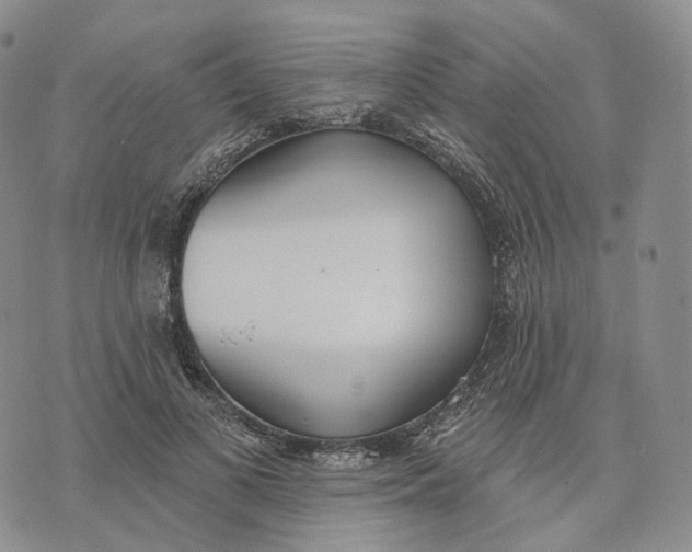 X0000074260693200609151802