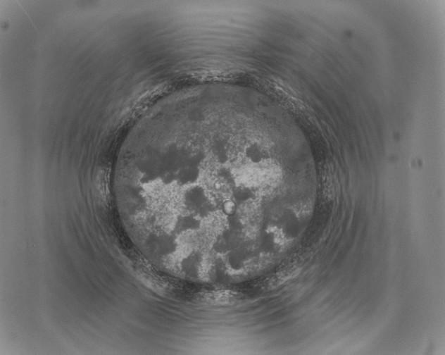 X0000074260695200609151801