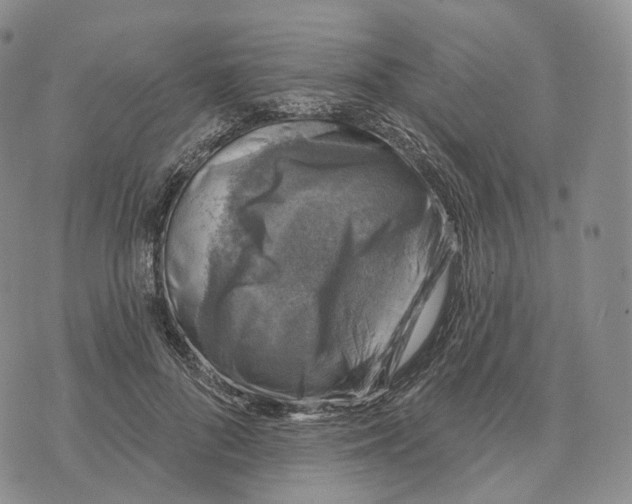 X0000074260696200609151801