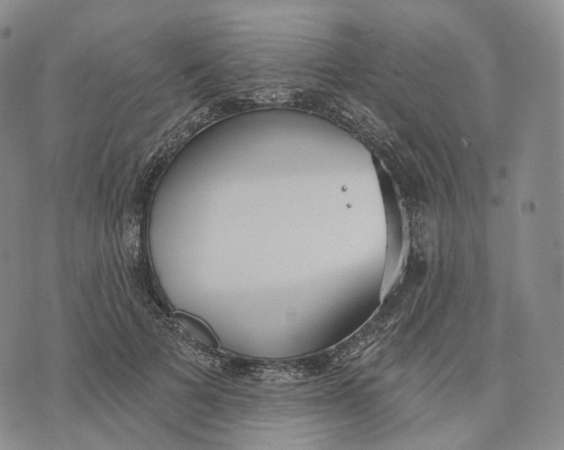 X0000074260697200609151801