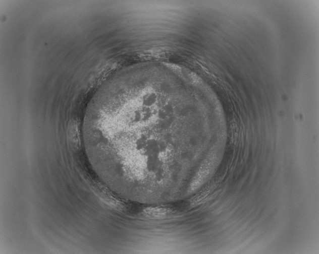 X0000074260699200609151801