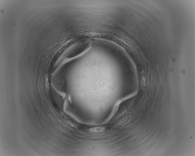 X0000074260700200609151801