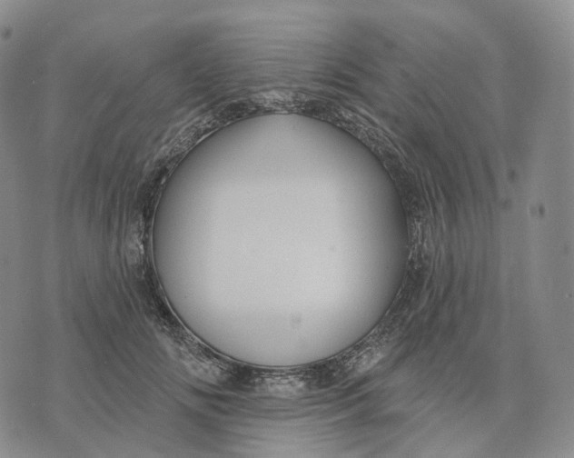 X0000074260702200609151801