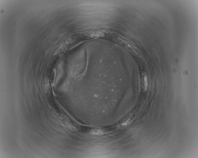 X0000074260704200609151801