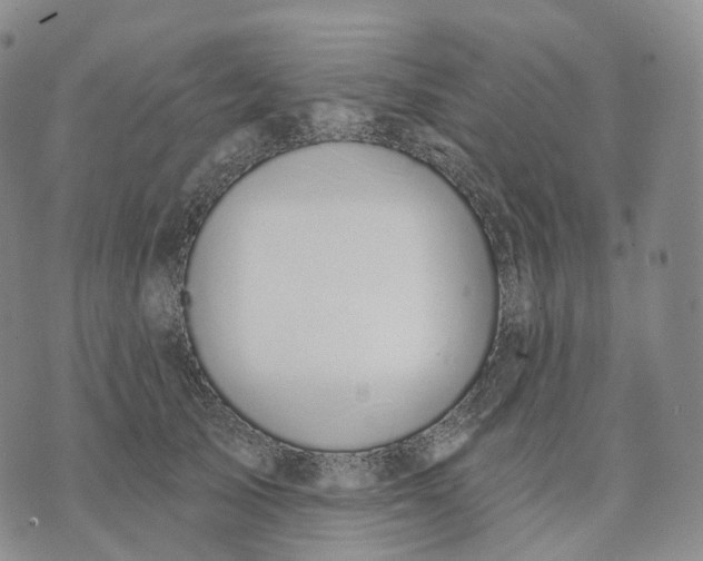 X0000074260705200609151801