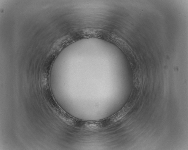 X0000074260706200609151801